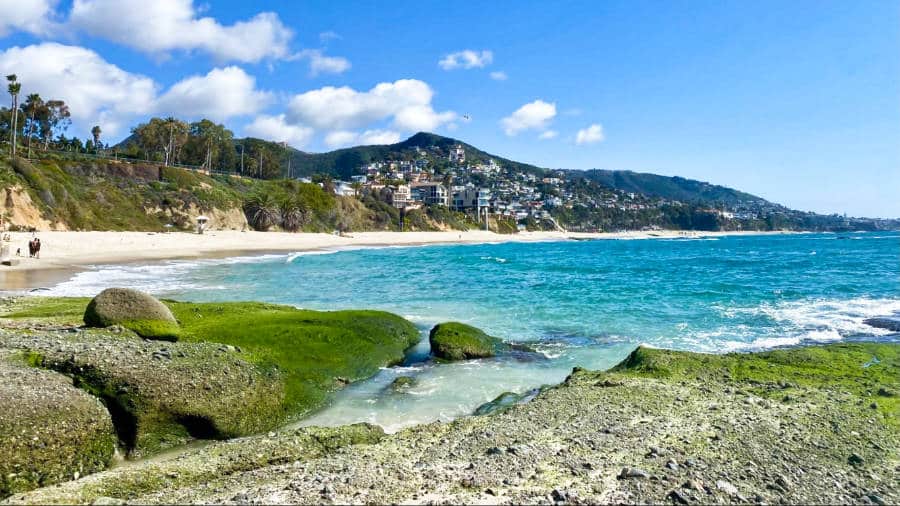 View of the turquoise blue water and green moss on the rocks at Treasure Island Beach on a sunny day
