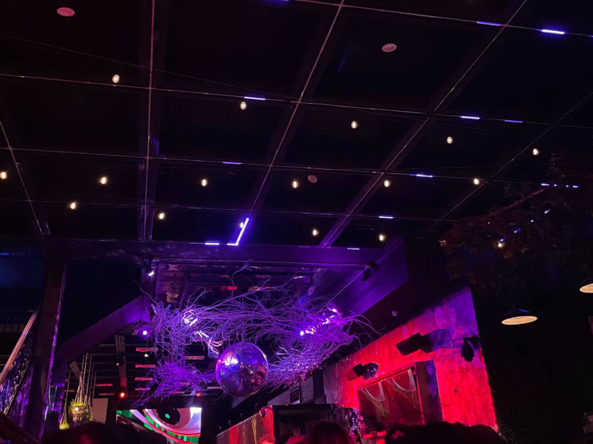 View inside the Tree House Chicago