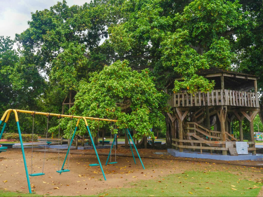 View of the tree house and the swings in Parque Colón