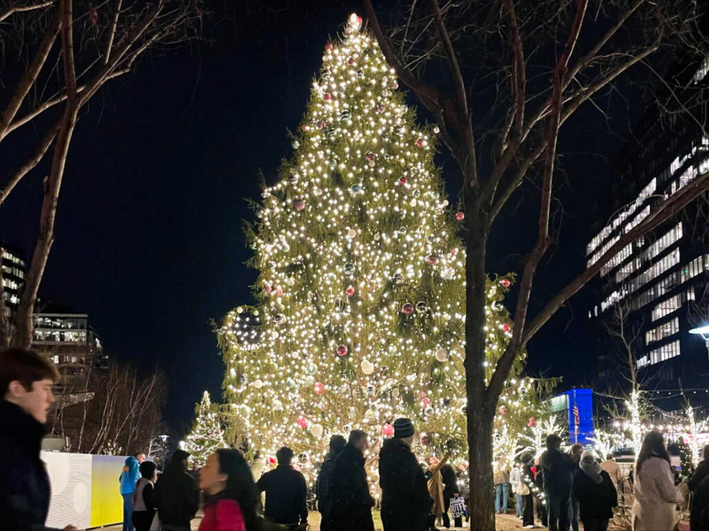 Crowd at the Tree Lighting Ceremony