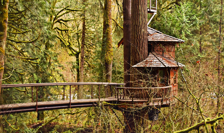 View of a Burl Treehouse at Treehouse Point