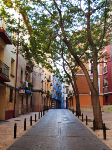 View of the trees lined along La Magdalena