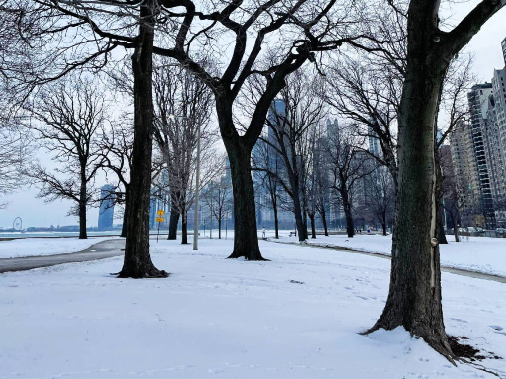 The park covered with snow during the winter season