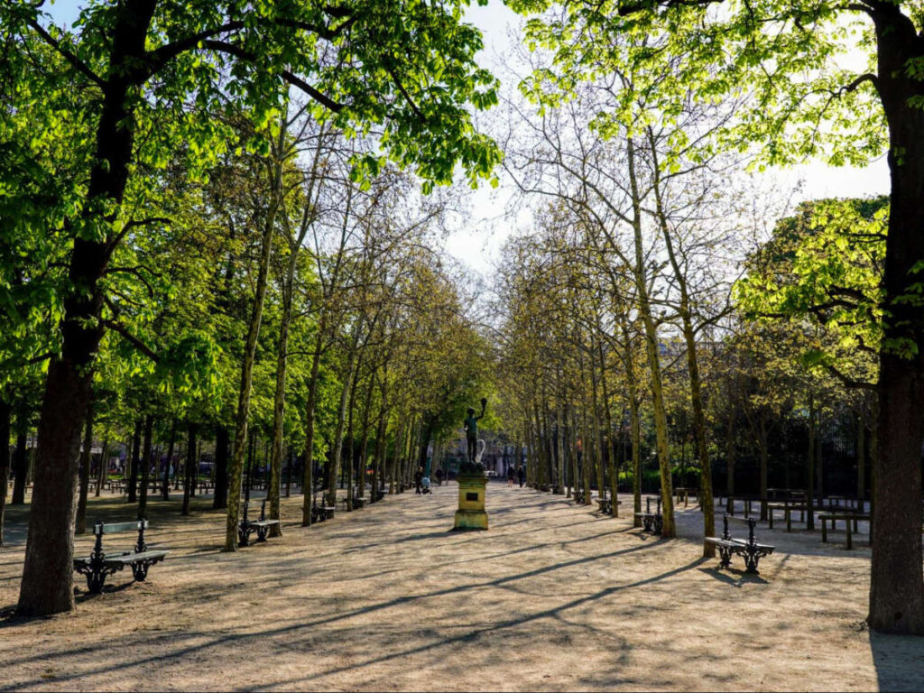 View of the Trees at the Luxembourg Gardens