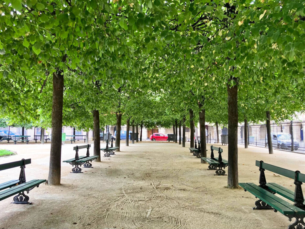 View of the lush trees over the benches in Place des Vosges