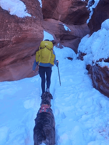 The author with her dog trekking in Utah
