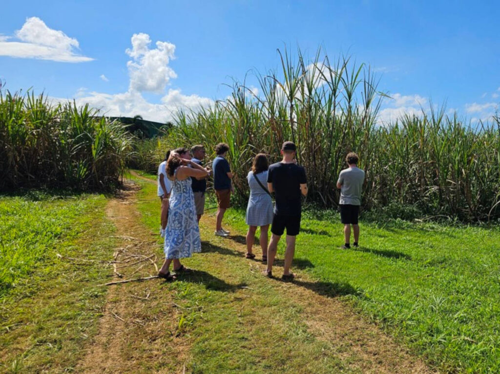 Tourists on the Tres Clavos Rum Private Tour