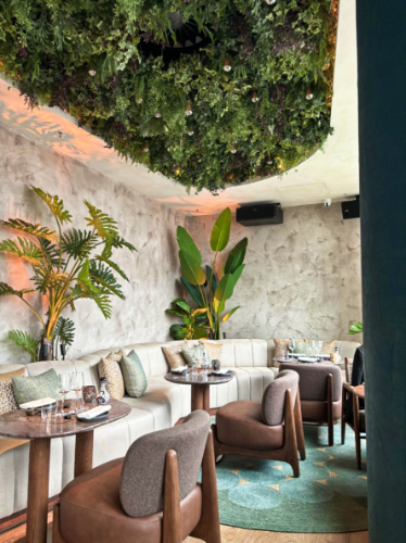 View of the cozy and tropical interiors of Los Mochis
