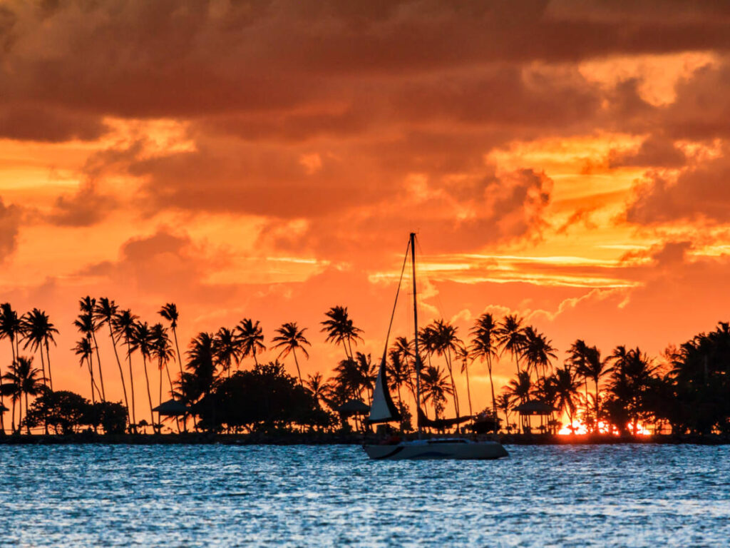 A catamaran sailing along the silhouettes of palm trees at sunset
