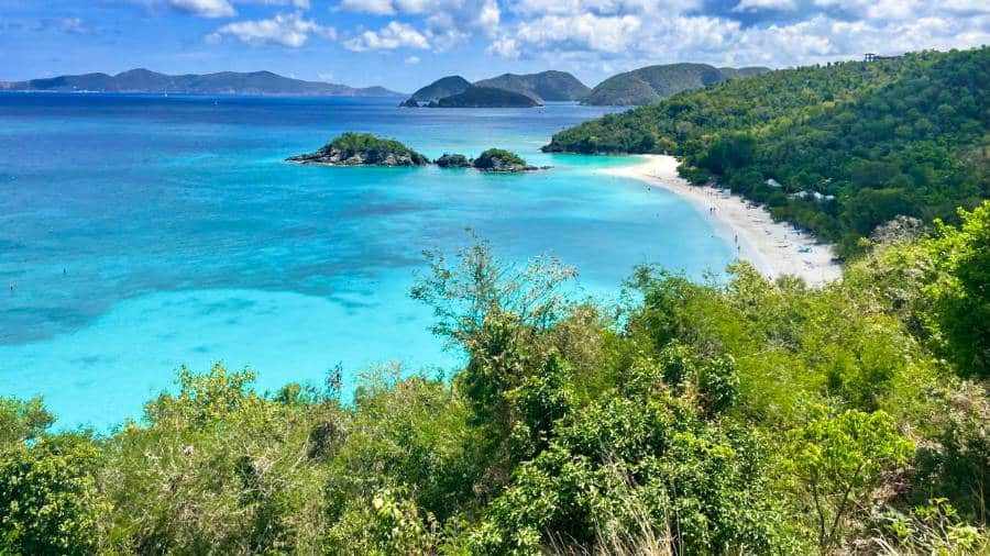 Aerial view of the lush green trees and turquoise ocean water around the Trunk Bay on St. John