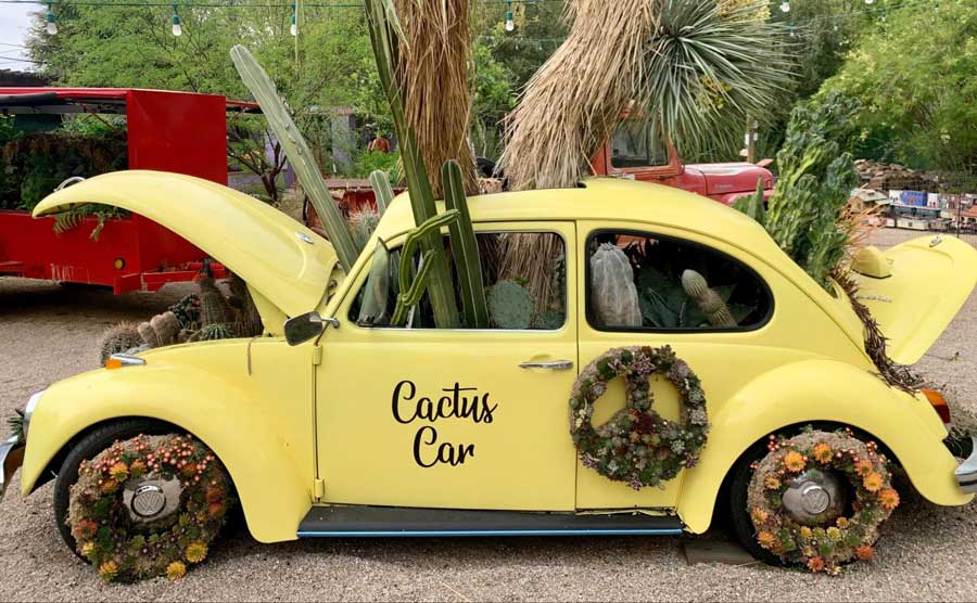 The yellow Cactus Car filled with cactus inside in Tucson Botanical Gardens