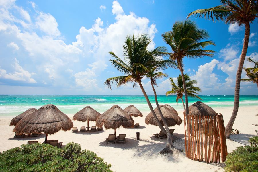 Bamboo umbrellas and palm trees on a white sand beach in Tulum