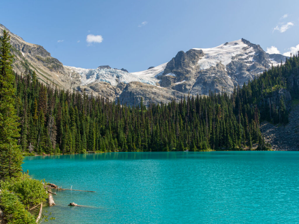 A serene lake amidst lush trees, showcasing the turquoise waters of Joffre Lakes Provincial Park