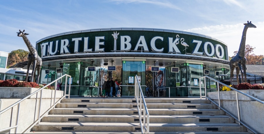 View at the entrance of Turtle Back Zoo with two sculpted giraffes on both sides