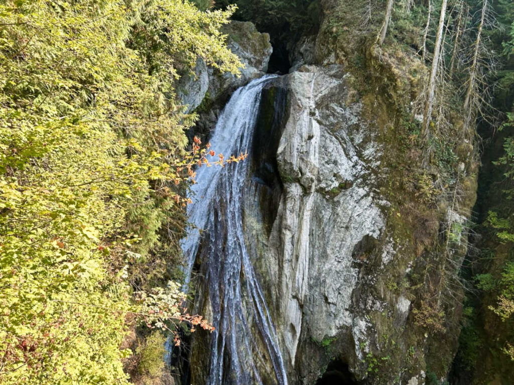 View of the fall foliage around the Twin Falls in autumn