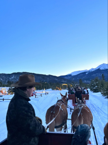 People riding the open sleigh ride