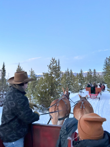 View while riding a sleigh ride