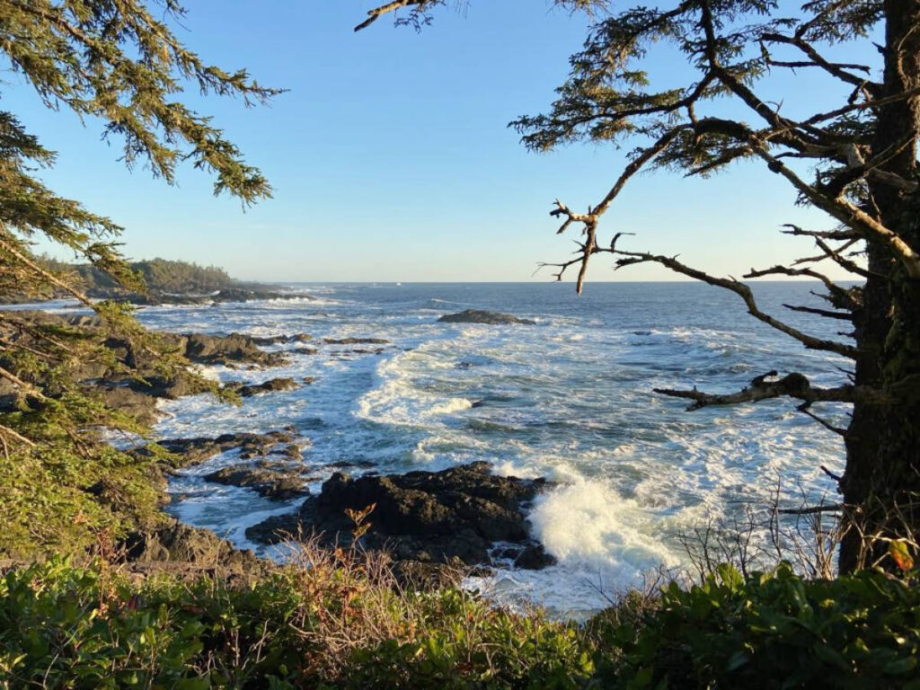 View of the waves from the Pacific Ocean