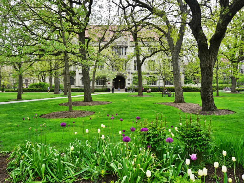 Colorful flowers at the University of Chicago in Hyde Park