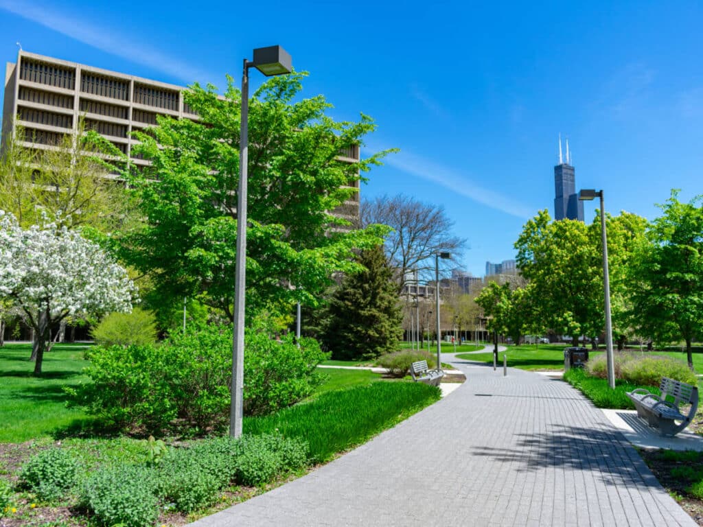 Clear blue sky over the University of Illinois campus