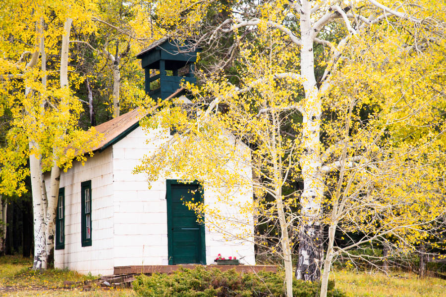 A small white chapel with a chimney surrounded by yellow leaves trees during the autumn season
