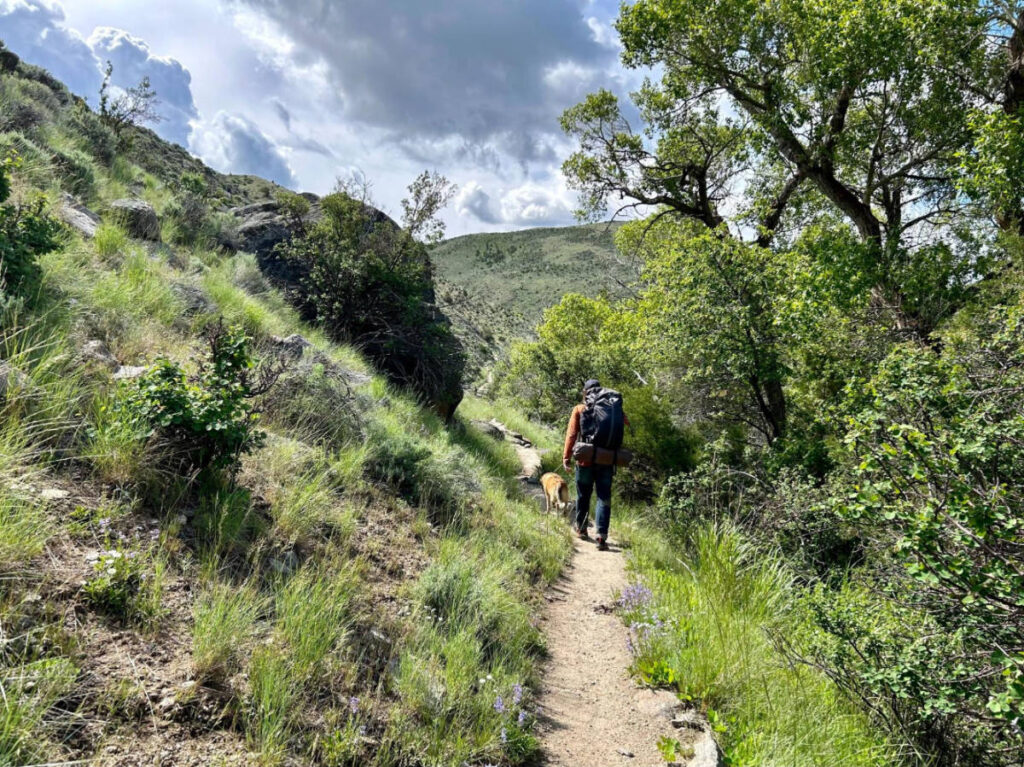 The author's husband using the Mountainsmith Apex backpack