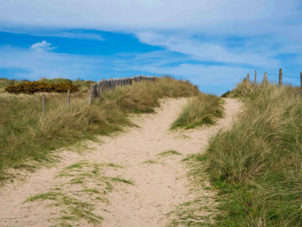 Path leading to Utah Beach in Normandy with grass and sand