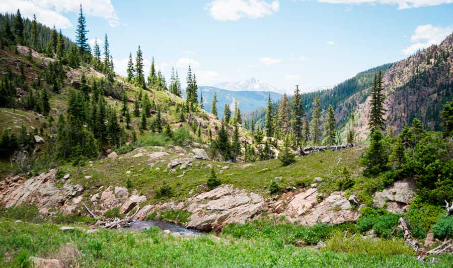 Scenic view along the Booth Falls Trail