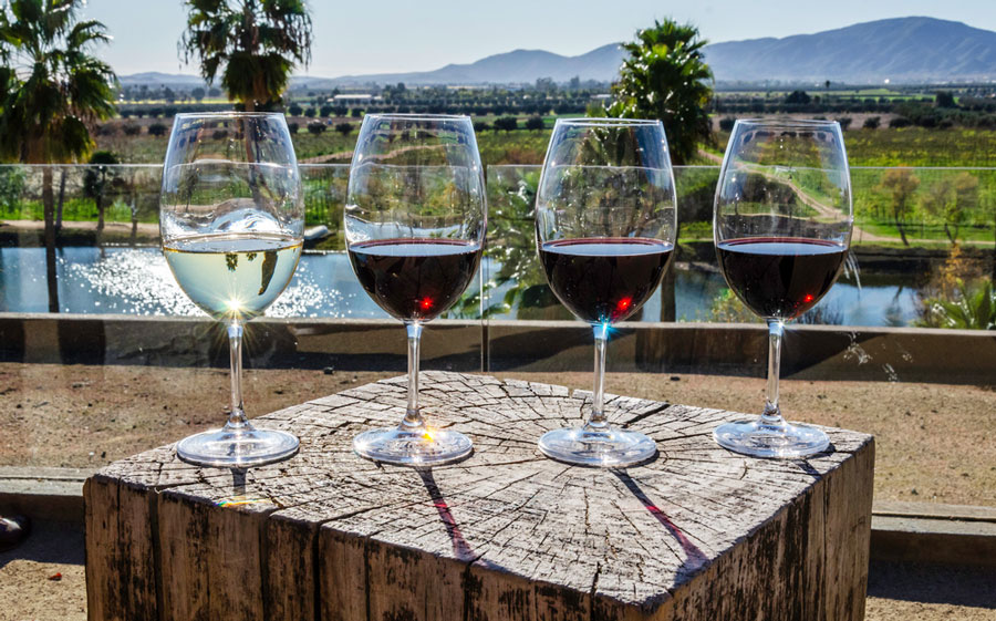 Four glasses of wine on a table in Valle de Guadalupe