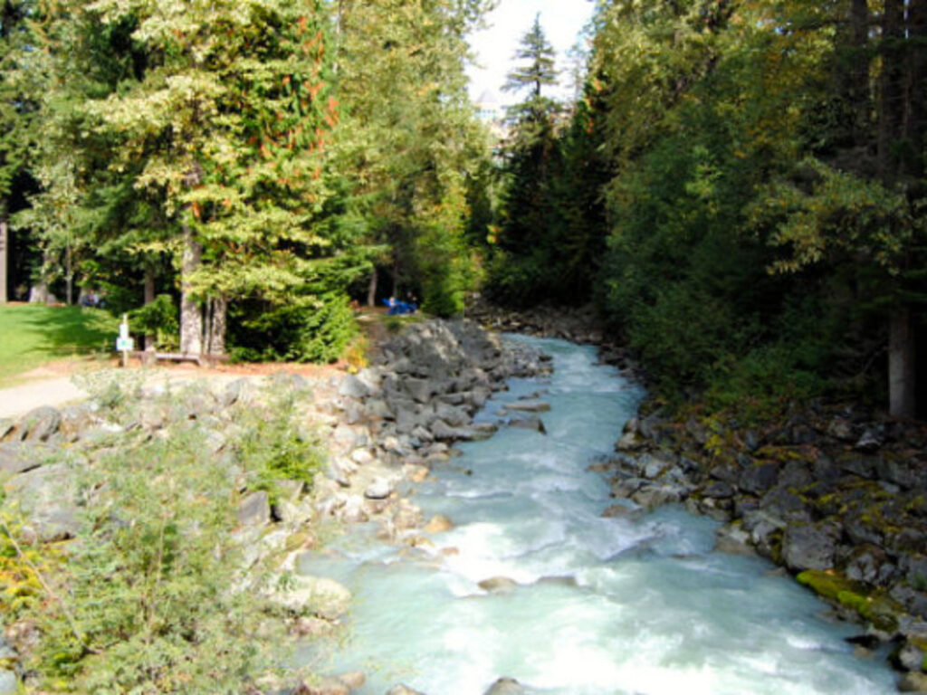 A serene river flowing through a lush forest along the Valley Trail in Whistler