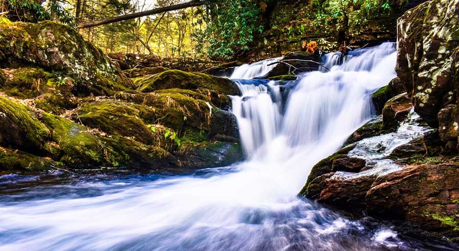 The Van Campens Glen Falls on a wooded area in New Jersey