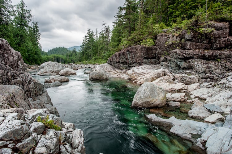 A river runs through Sproat Lake provincial park in Vancouver Island