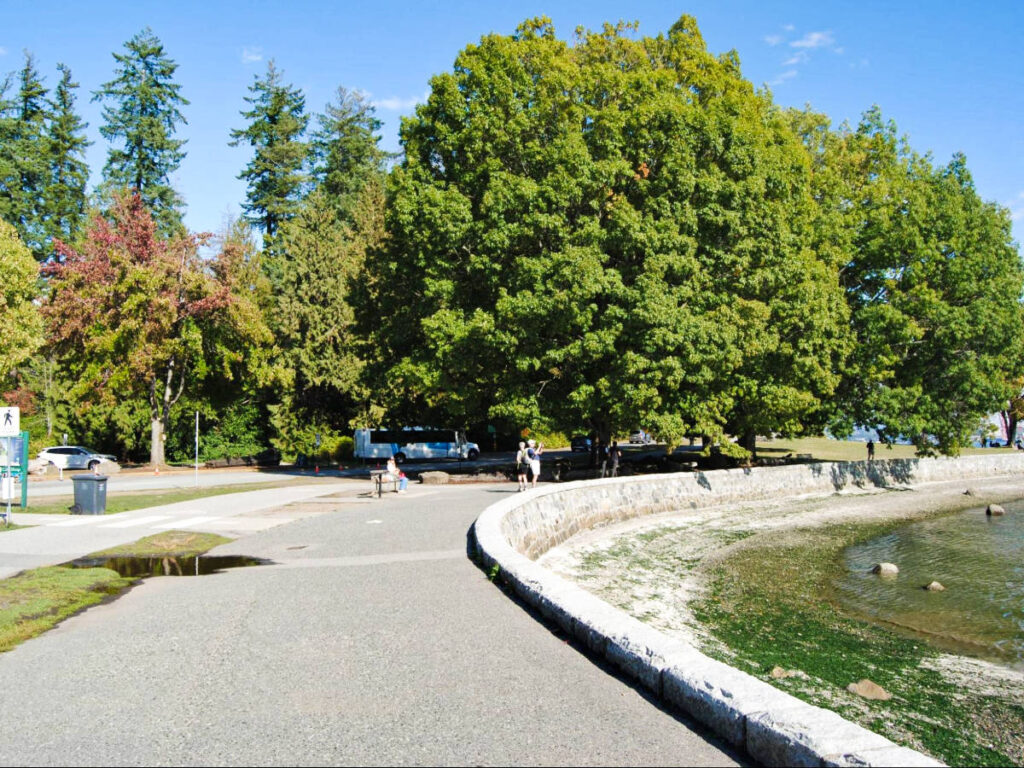 View of the greenery around the seawall in Vancouver