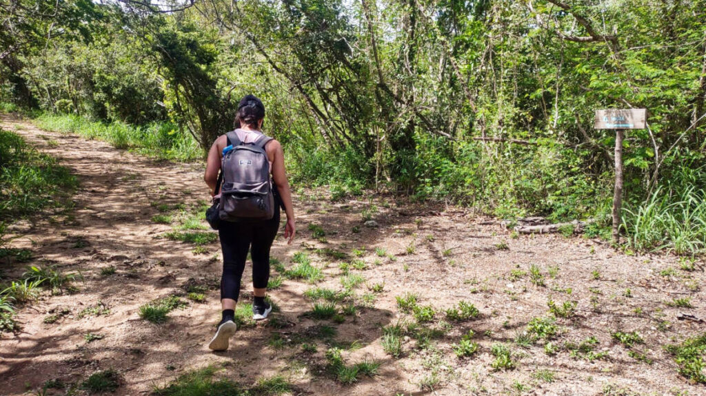 The author, Vanessa Ramos, hiking in Guánica Dry Forest