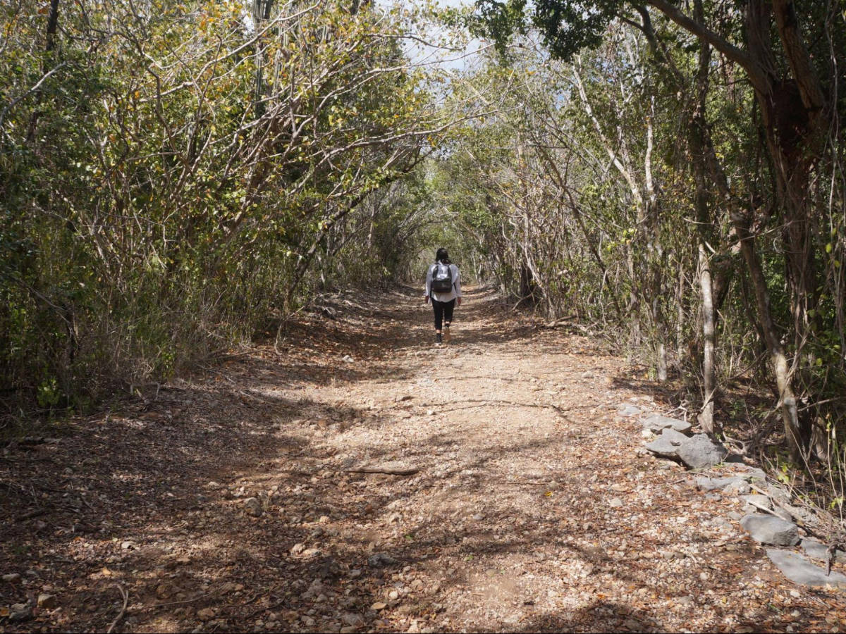 The author, Vanessa Ramos hiking in the middle of the wilderness