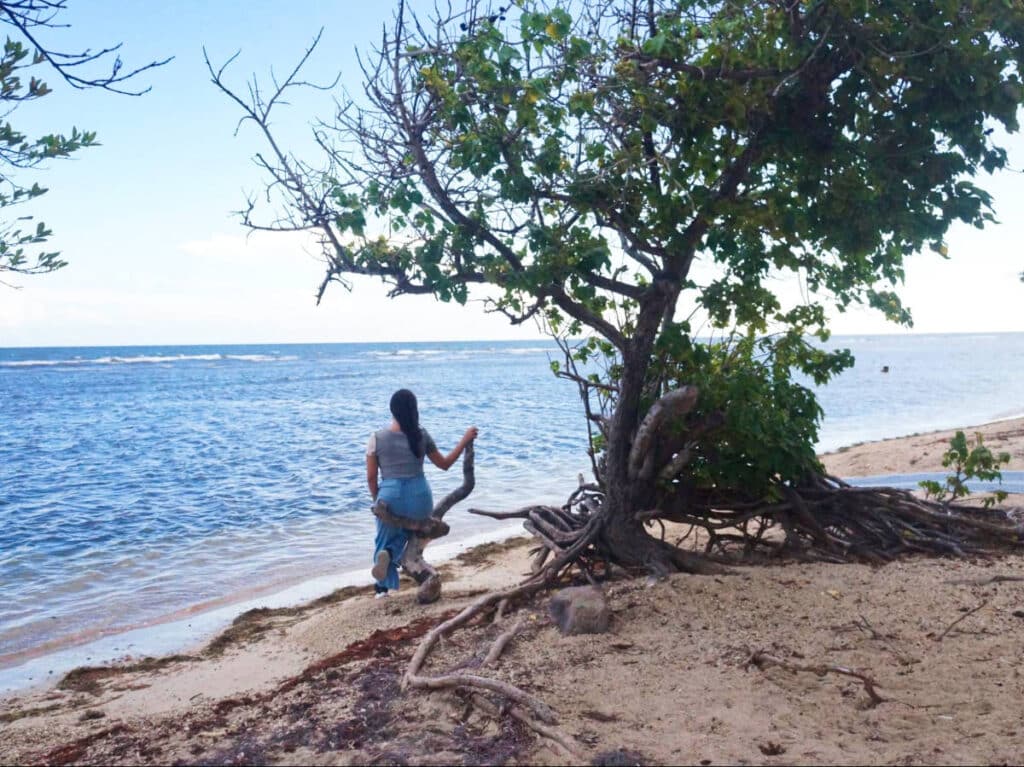 The author Vanessa Ramos, sitting on a branch of a tree while enjoying the view of La Guancha Beach