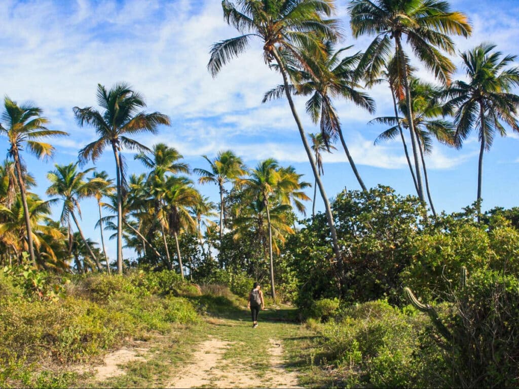 The author Vanessa Ramos, hiking at Punta Ballena surrounded by greenery in Guánica