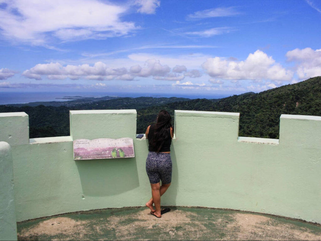 Vanessa Ramos admiring the view in El Yunque National Forest