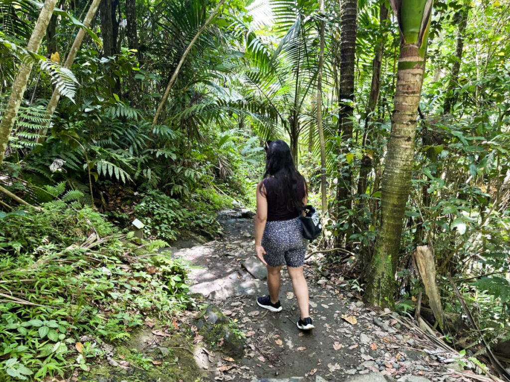 The author Vanessa walking along the trail in El Yunque