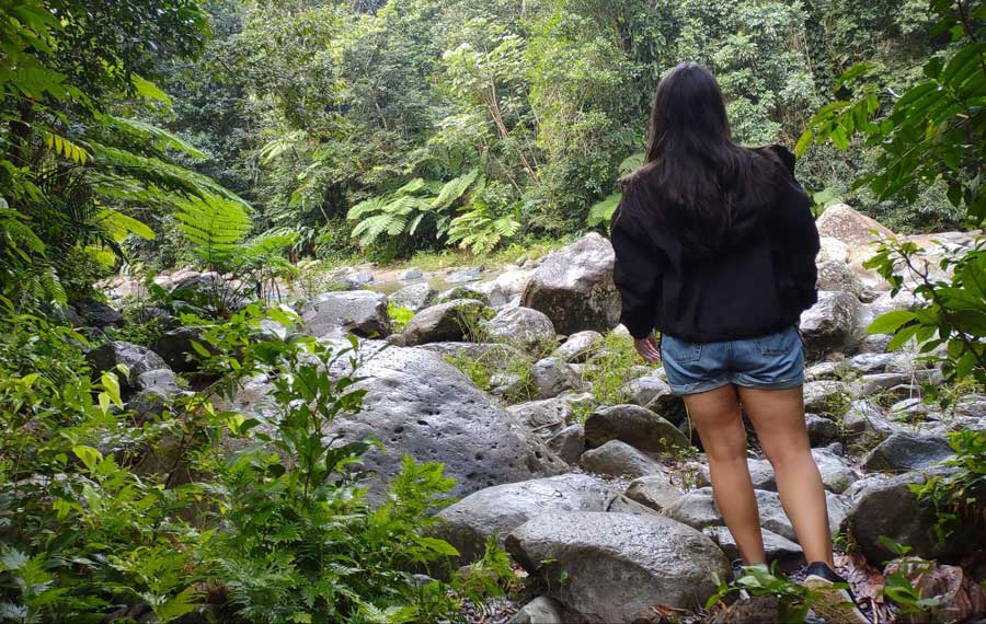 The author admiring the stream in The author in El yunque National Forest