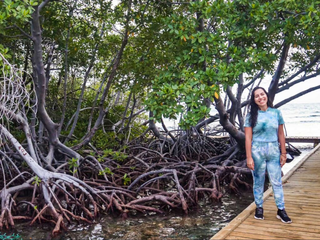 The author Vanessa Ramos, posing for a photo at the boarwalk with the mangroves behind in La Parguera