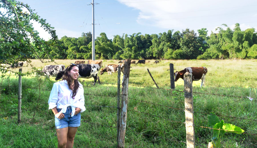 The author with the farm animals on her background