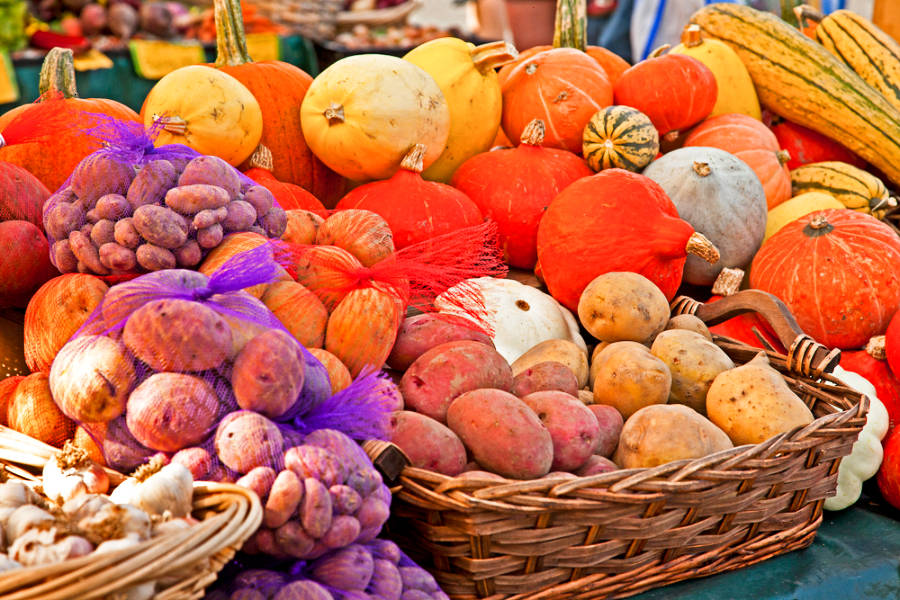 Closeup view of the vibrant variety of vegetables at Bellingham Farmers Market