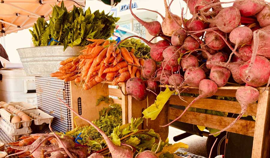 Different kinds of vegetables in Santa Monica Farmers Market