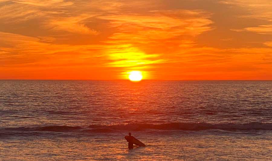 View of a surfer holding a surfboard while on the water of Venice Beach during sunset