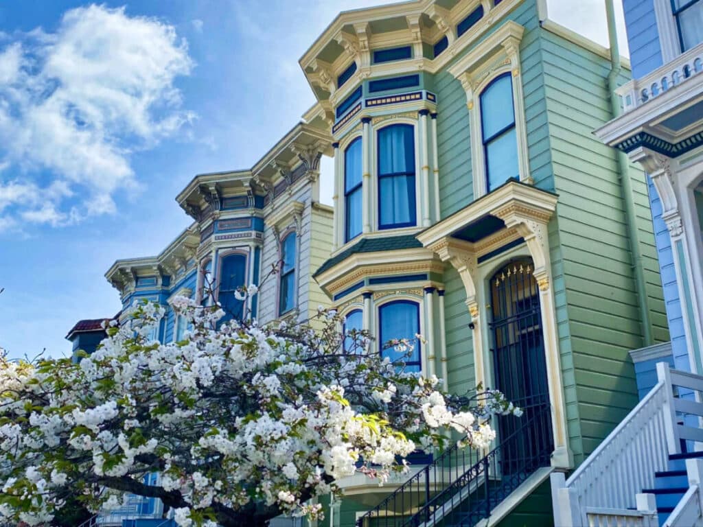 View of the beautiful tree in front of the picturesque Victorian homes