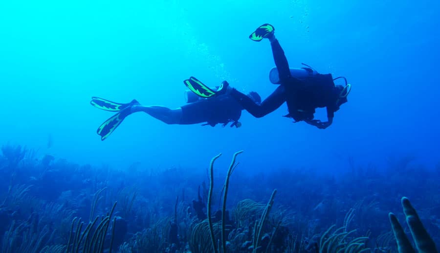 View of two scuba divers under the Vieques water