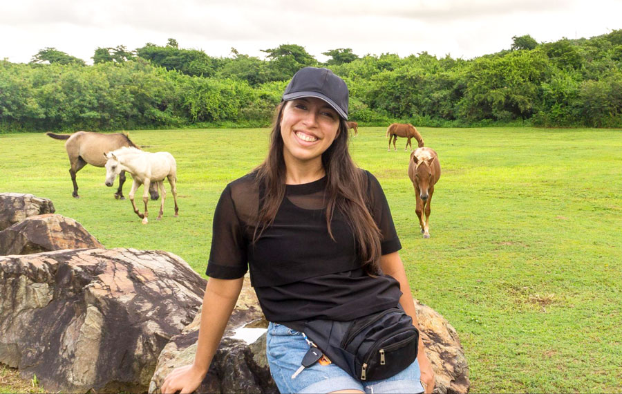 The author and some wild horses on her background