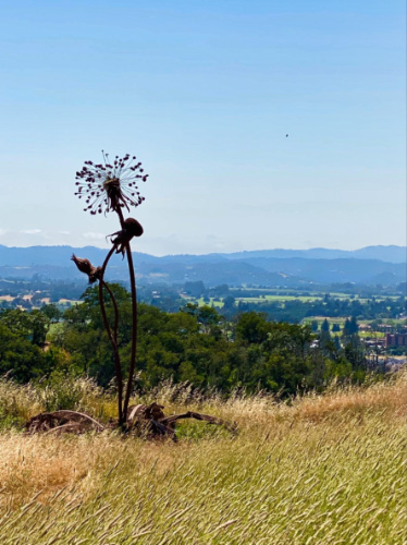 View of the dried flower with a scenic view in the background