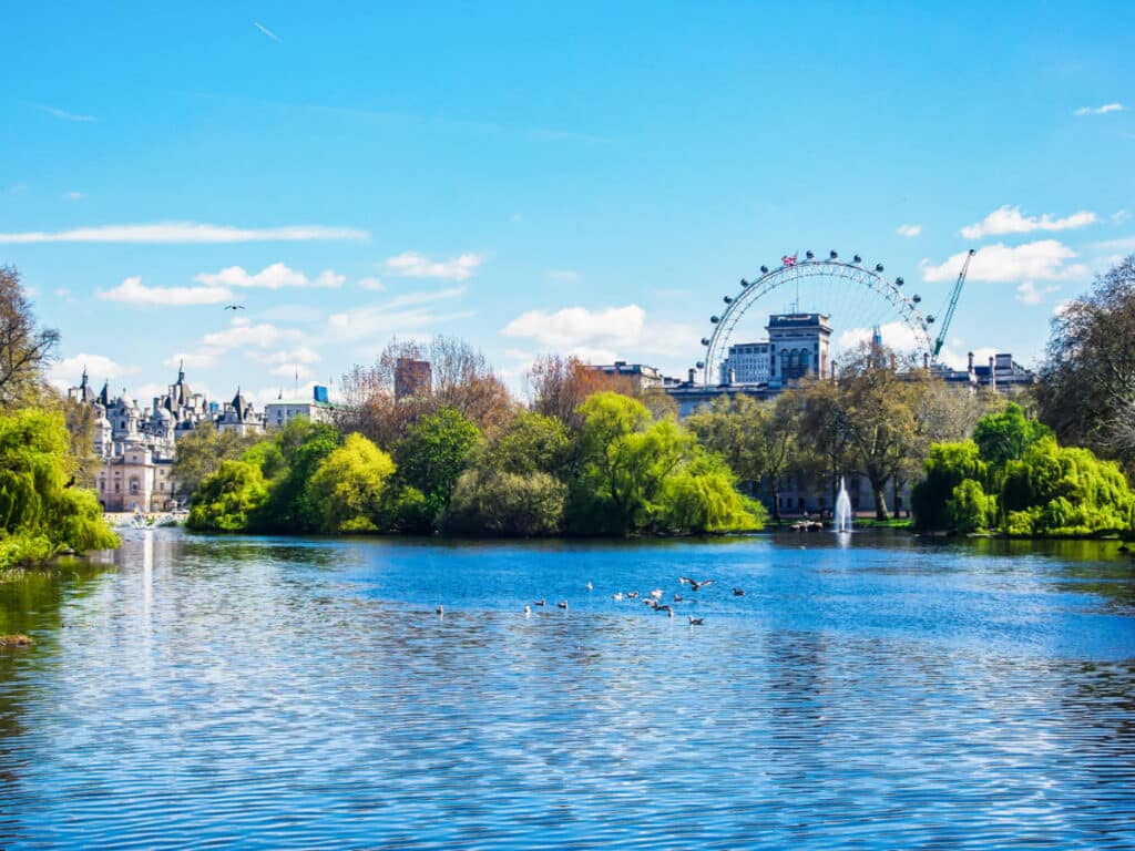 View of the London Eye across the pond from St James’s Park